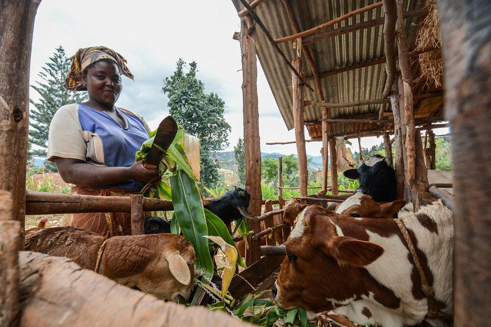 Strengthening economic independence through practical, community-led opportunities.